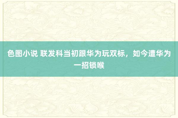 色图小说 联发科当初跟华为玩双标，如今遭华为一招锁喉