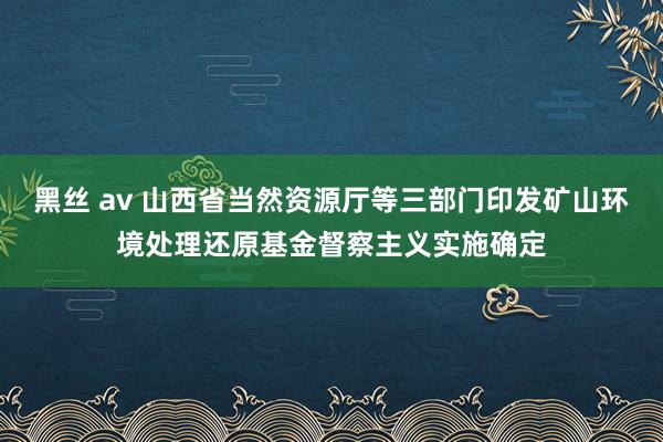 黑丝 av 山西省当然资源厅等三部门印发矿山环境处理还原基金督察主义实施确定