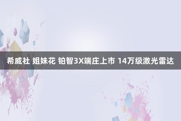 希威社 姐妹花 铂智3X端庄上市 14万级激光雷达