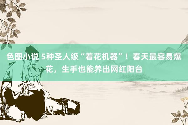 色图小说 5种圣人级“着花机器”！春天最容易爆花，生手也能养出网红阳台