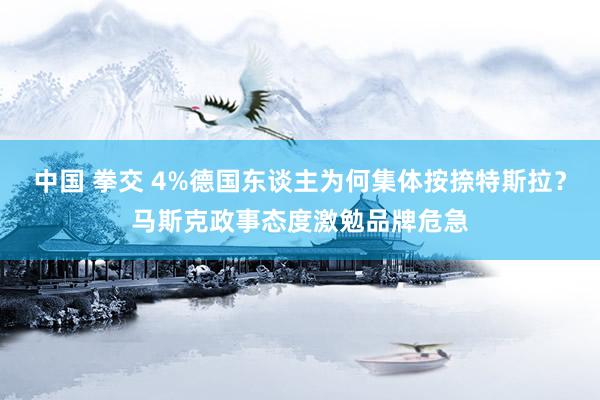 中国 拳交 4%德国东谈主为何集体按捺特斯拉？马斯克政事态度激勉品牌危急