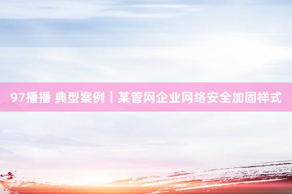97播播 典型案例｜某管网企业网络安全加固样式