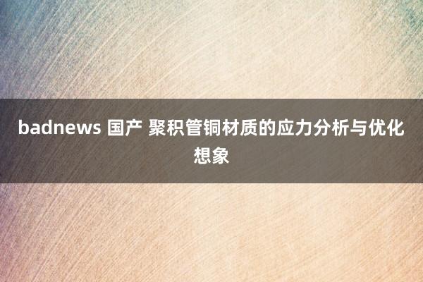 badnews 国产 聚积管铜材质的应力分析与优化想象