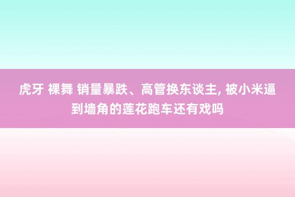 虎牙 裸舞 销量暴跌、高管换东谈主, 被小米逼到墙角的莲花跑车还有戏吗