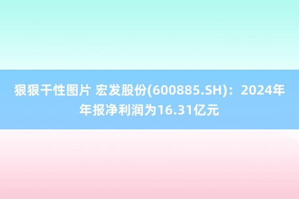 狠狠干性图片 宏发股份(600885.SH)：2024年年报净利润为16.31亿元