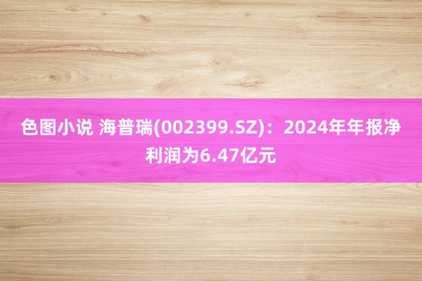 色图小说 海普瑞(002399.SZ)：2024年年报净利润为6.47亿元