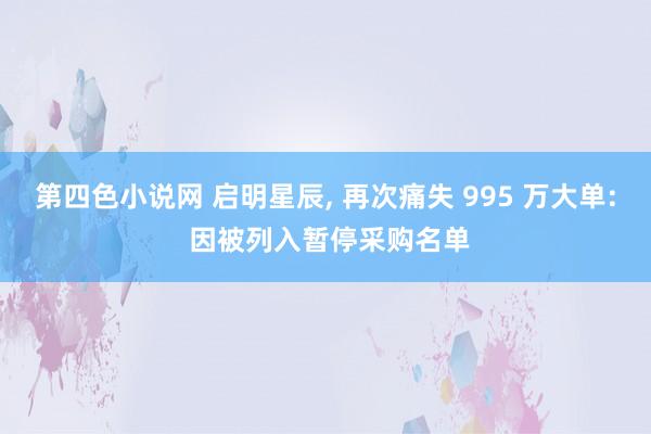 第四色小说网 启明星辰， 再次痛失 995 万大单: 因被列入暂停采购名单