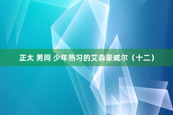 正太 男同 少年熟习的艾森豪威尔（十二）