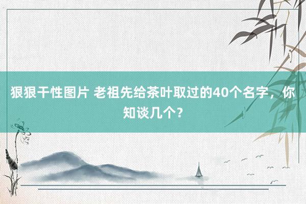狠狠干性图片 老祖先给茶叶取过的40个名字，你知谈几个？