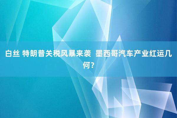 白丝 特朗普关税风暴来袭  墨西哥汽车产业红运几何？