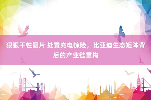 狠狠干性图片 处置充电惊险，比亚迪生态矩阵背后的产业链重构