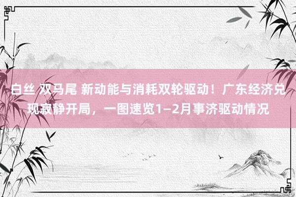 白丝 双马尾 新动能与消耗双轮驱动！广东经济兑现寂静开局，一图速览1—2月事济驱动情况